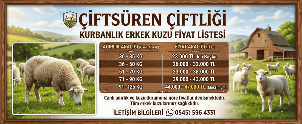 Adsız tasarım
